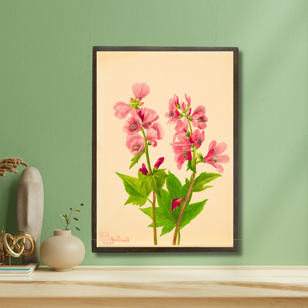 Himalayan Balsam