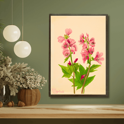 Himalayan Balsam