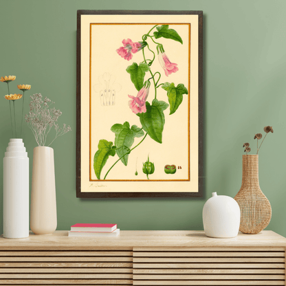 Snapdragon Vine