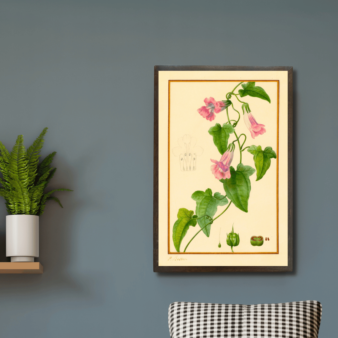 Snapdragon Vine