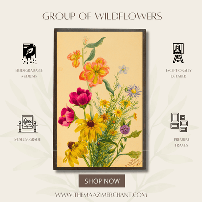 Group of Wildflowers