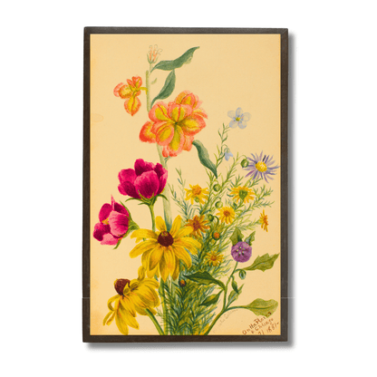 Group of Wildflowers
