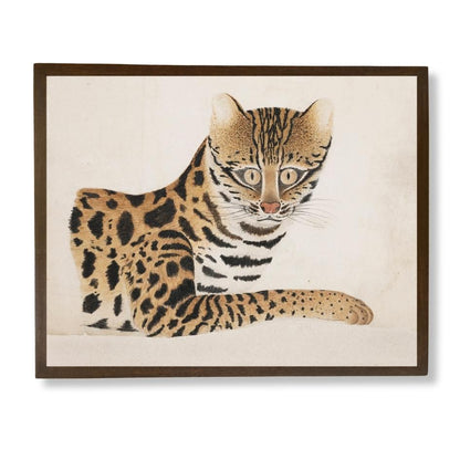 A Leopard Cat