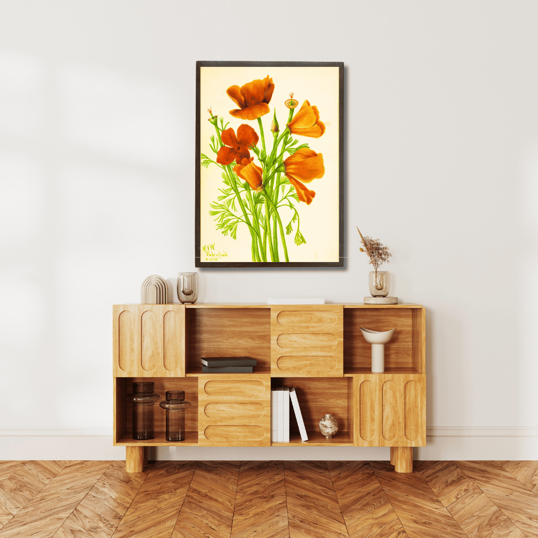 Wild Poppy
