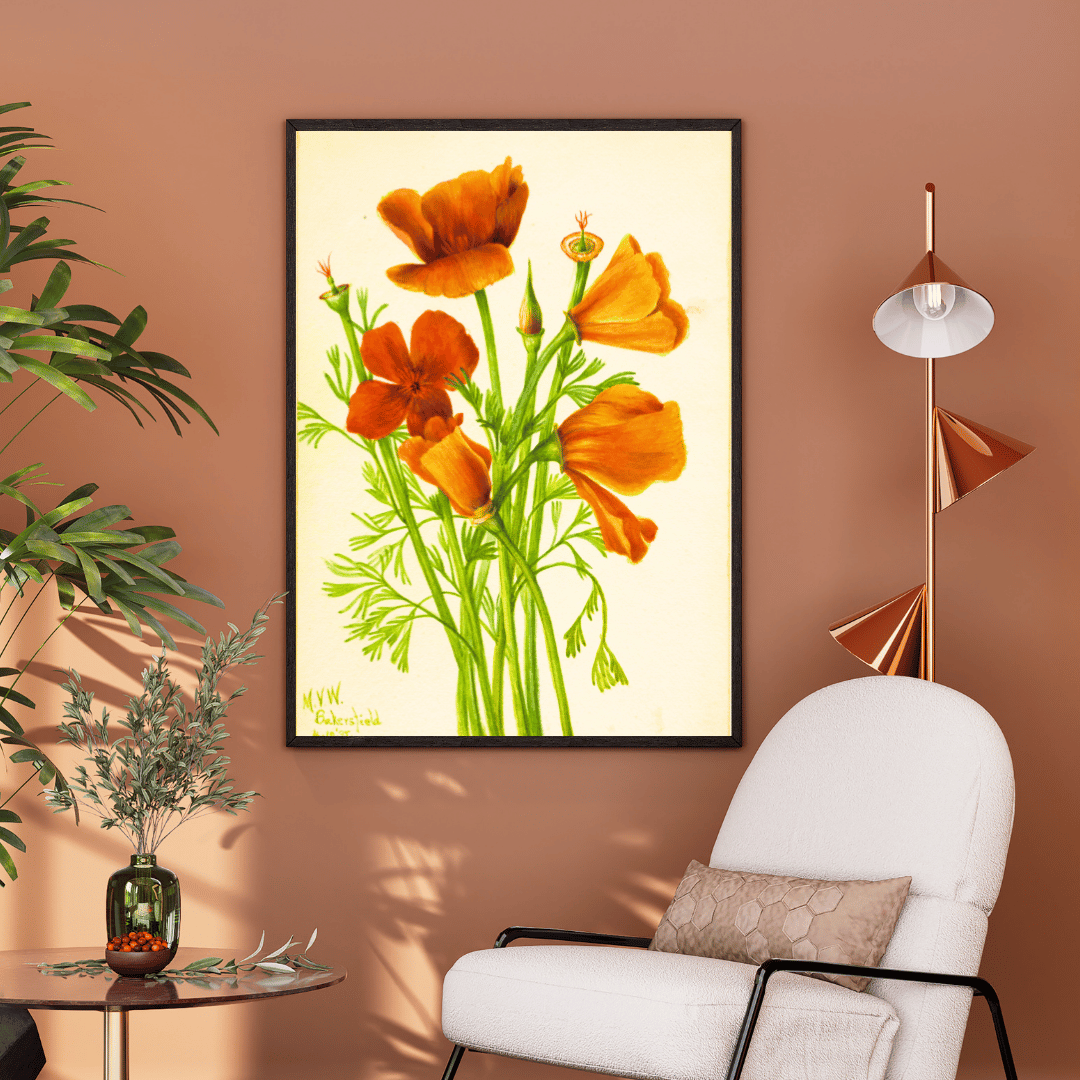 Wild Poppy