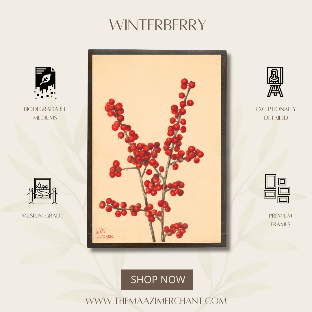 Winterberry