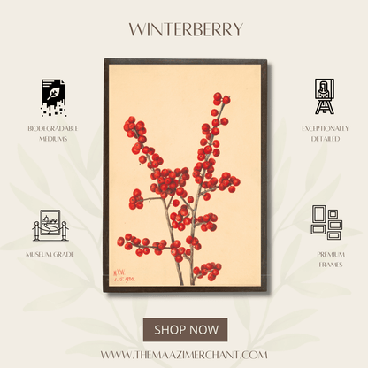 Winterberry