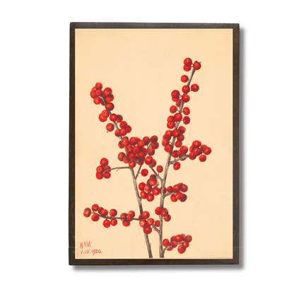 Winterberry