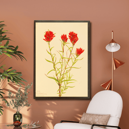 Wild Indian Paintbrush