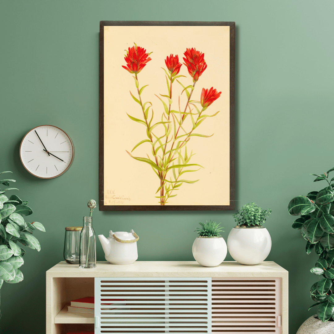 Wild Indian Paintbrush