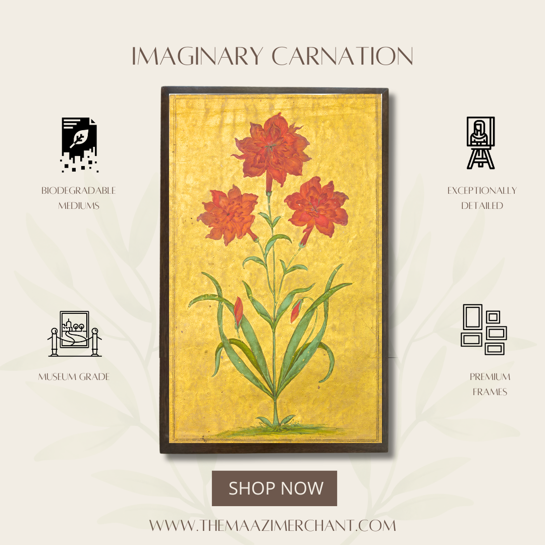 Imaginary Carnation