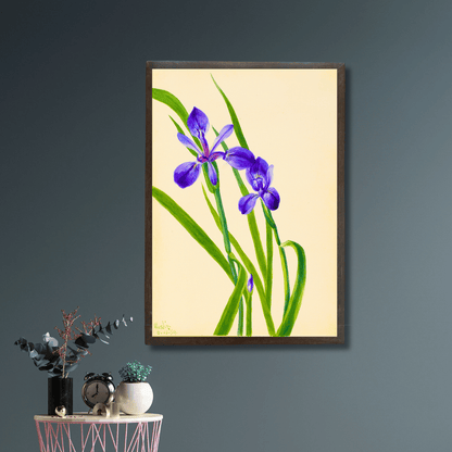 Iris Germanica