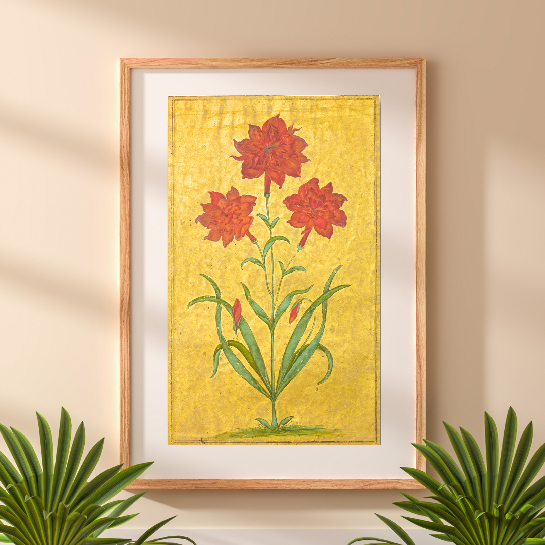 Imaginary Carnation