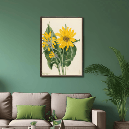 Balsam Root