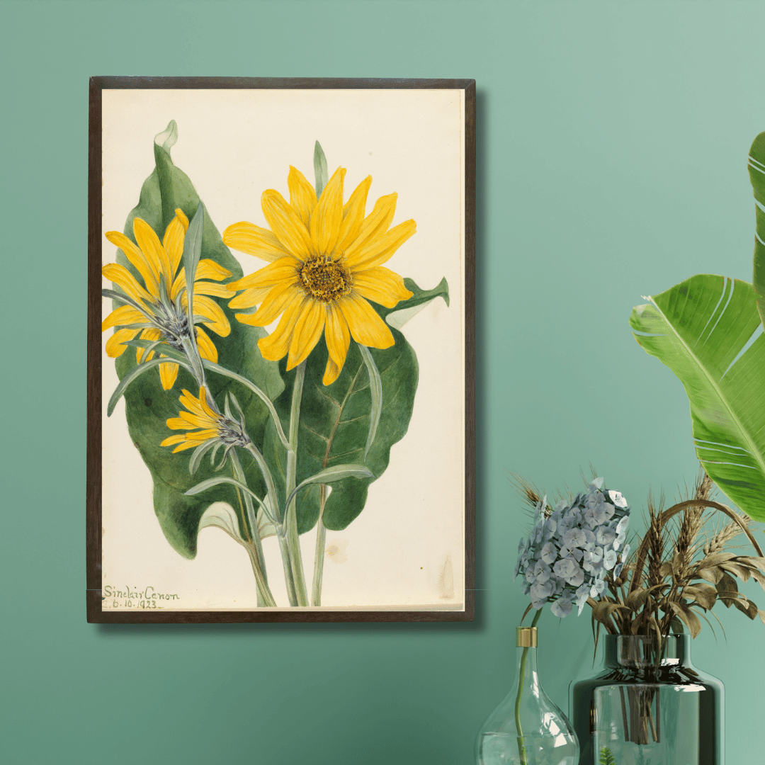 Balsam Root