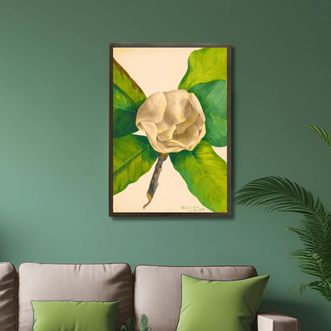 White Magnolia
