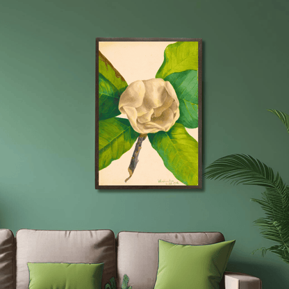 White Magnolia