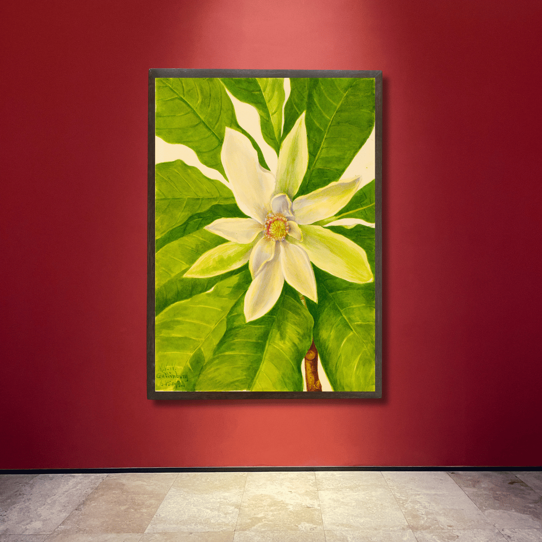Magnolia Bloom