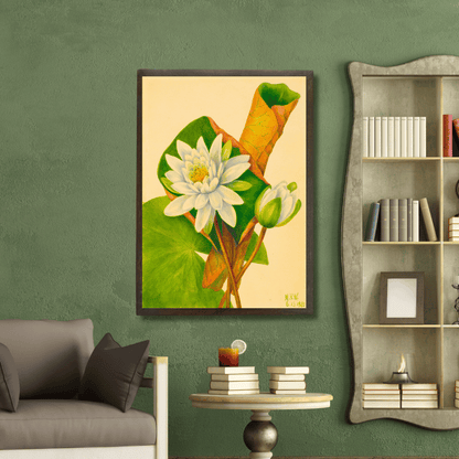 Waterlily