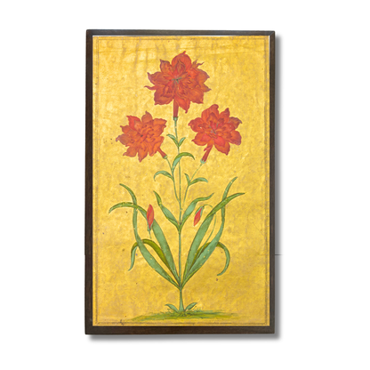 Imaginary Carnation