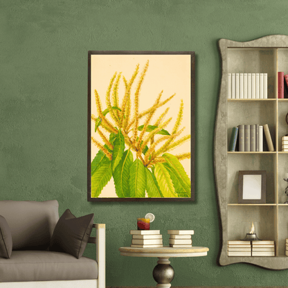 Sweet Chestnut