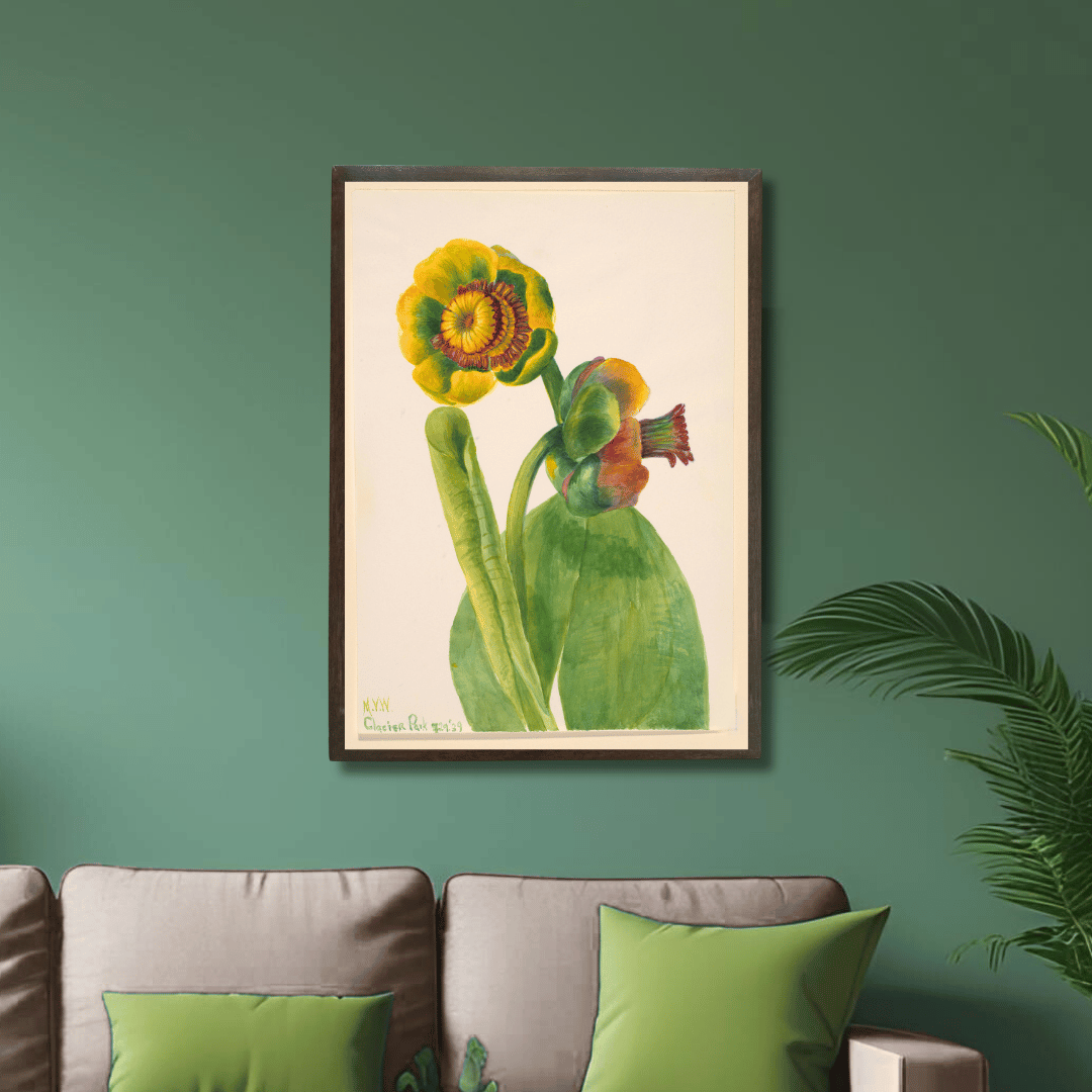 Yellow Water-Lily