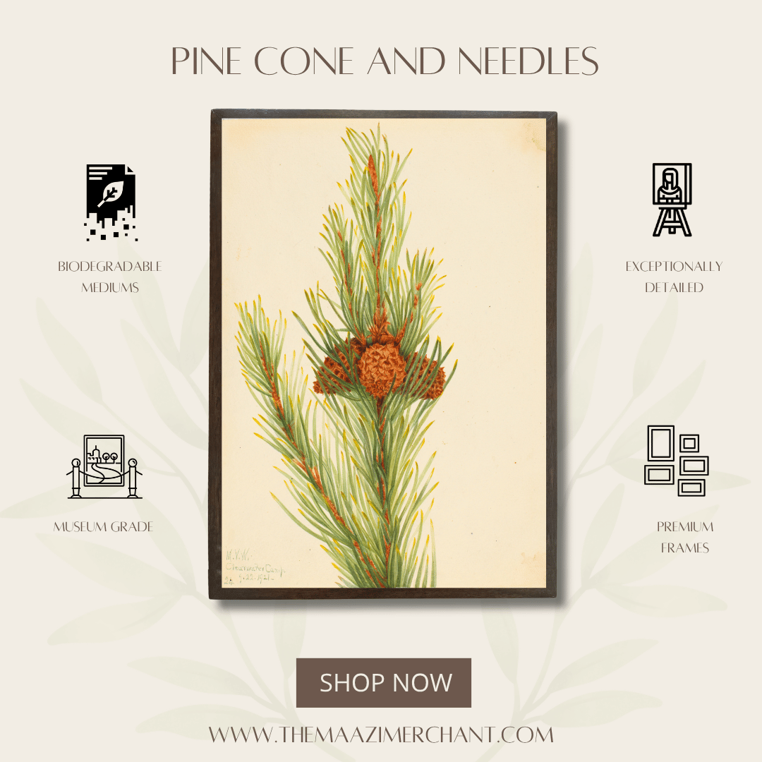 Pine Cone and Needles