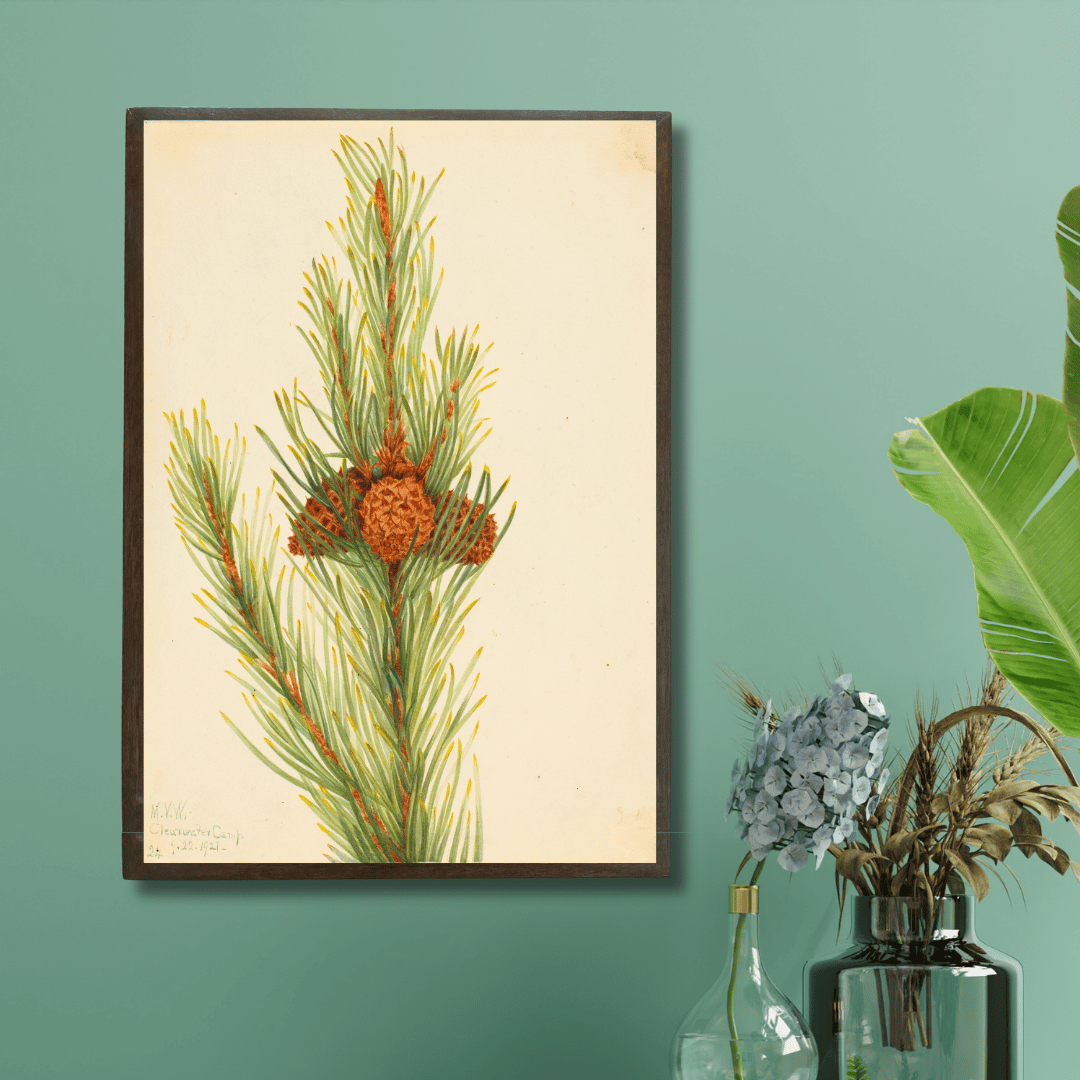 Pine Cone and Needles