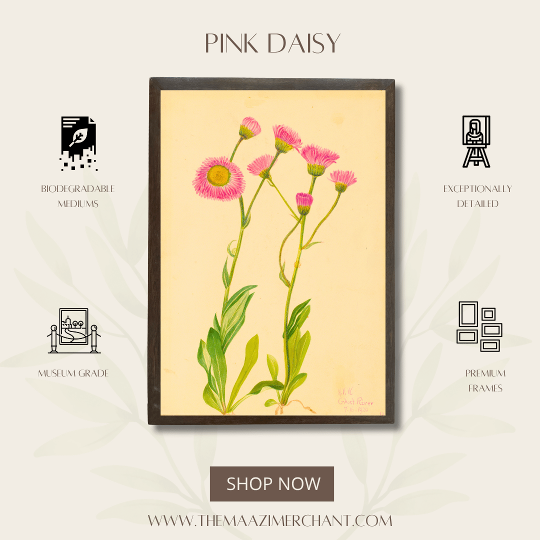 Pink Daisy