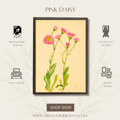 Pink Daisy