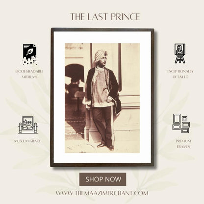 The Last Prince