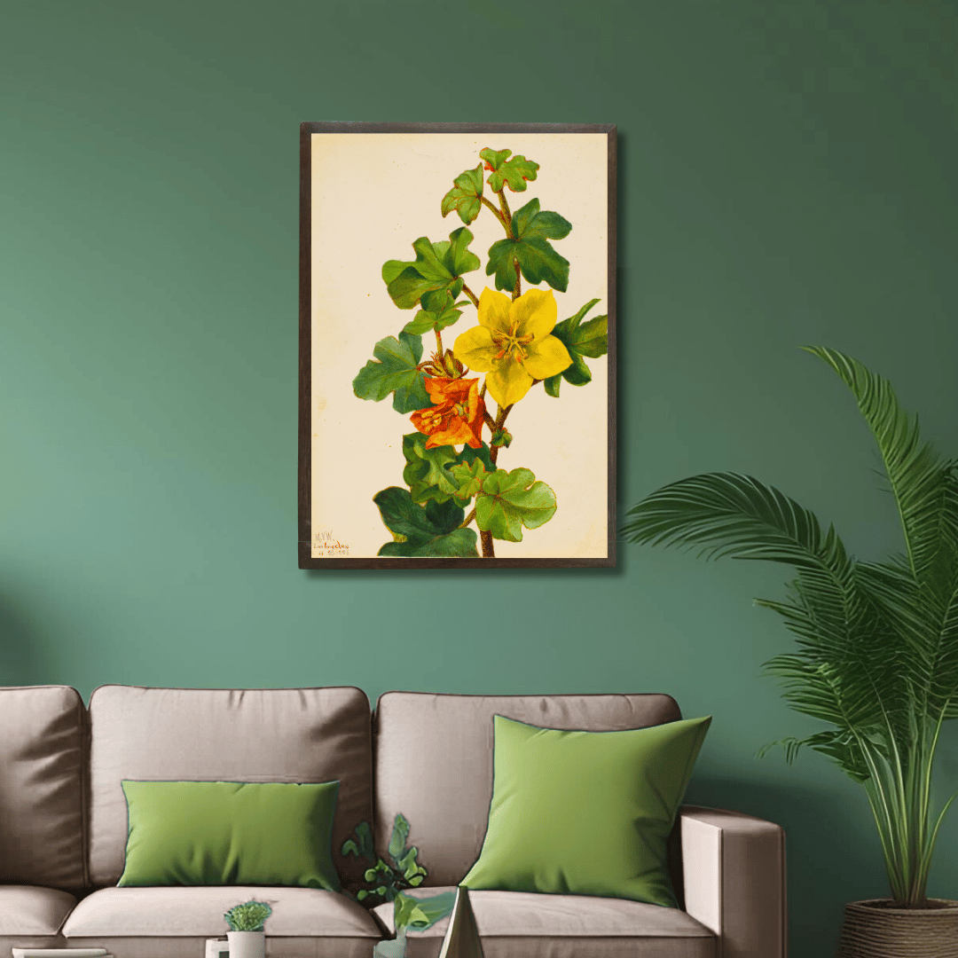 Flannelbush