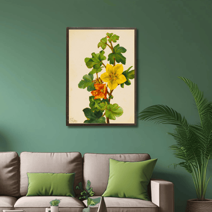 Flannelbush