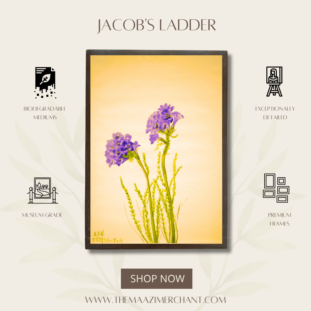 Jacob's Ladder