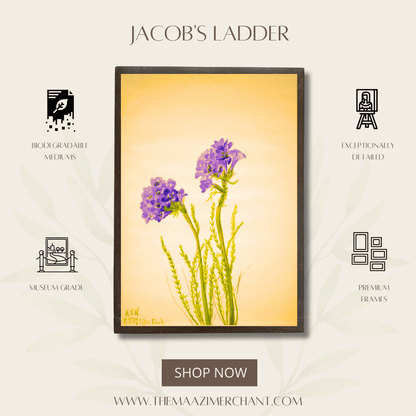 Jacob's Ladder
