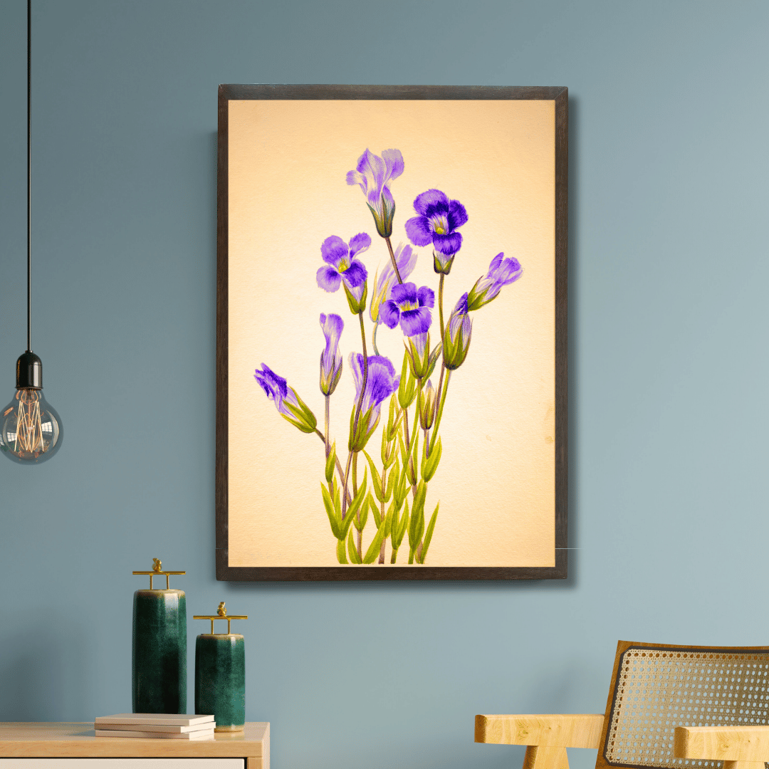 Fringed Gentian