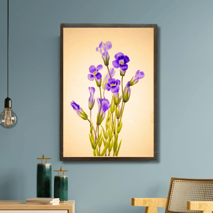 Fringed Gentian