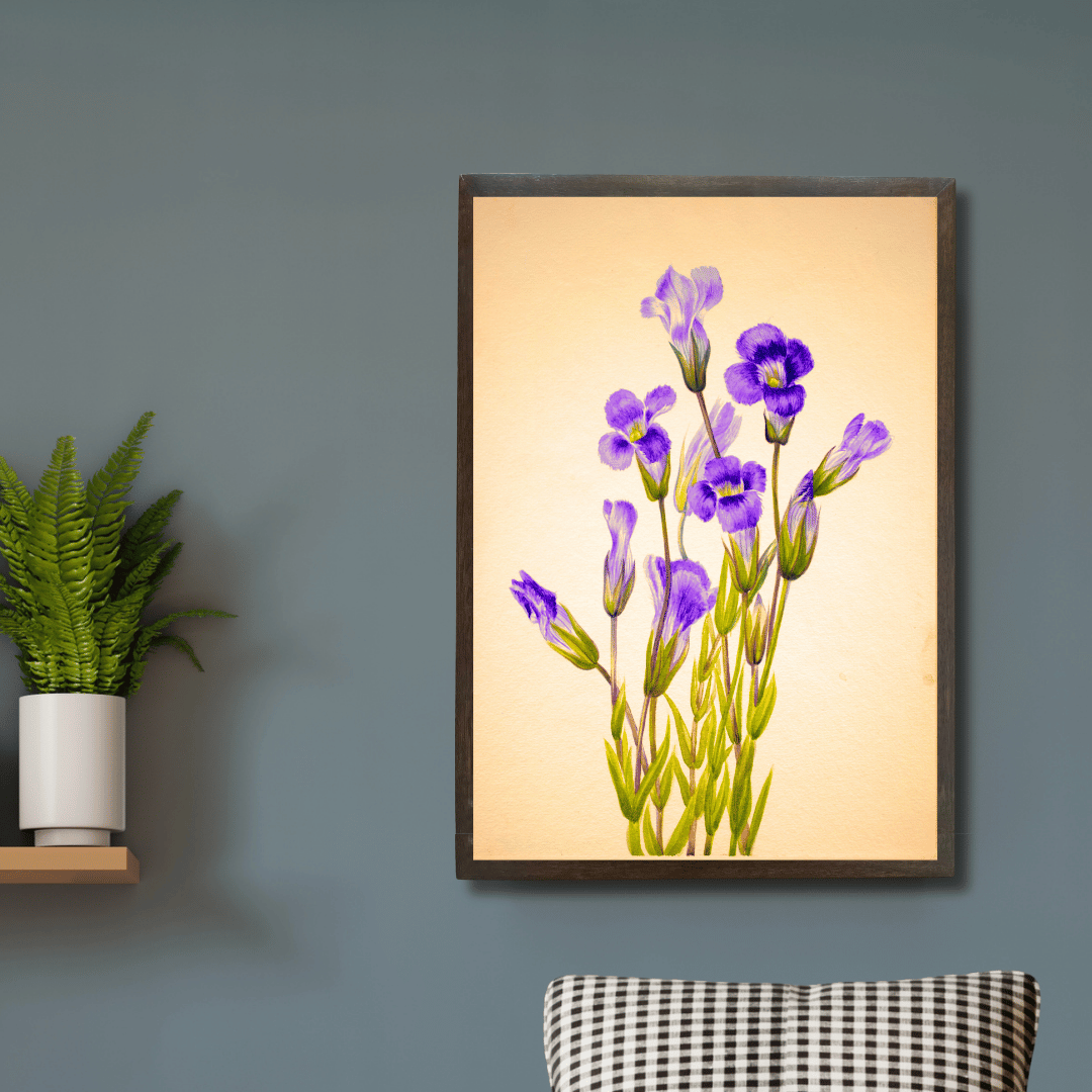 Fringed Gentian