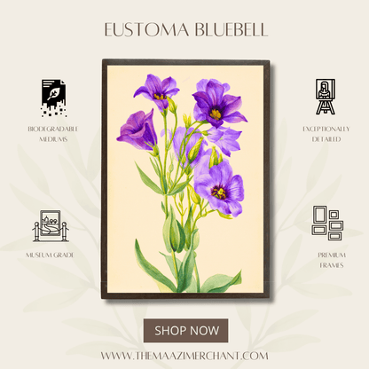 Eustoma Bluebell