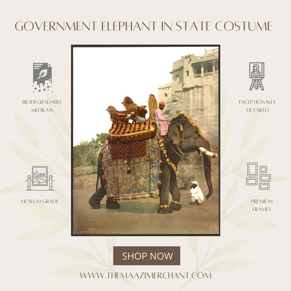 Government Elephant in state costume