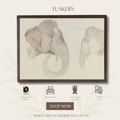 Tuskers