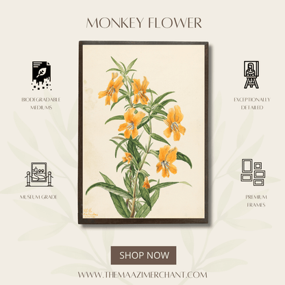 Monkey Flower