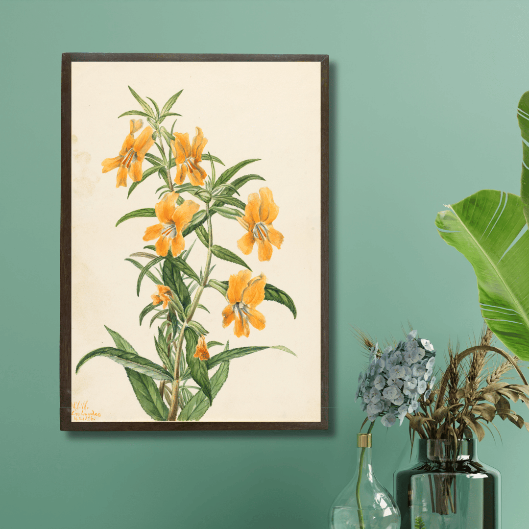 Monkey Flower
