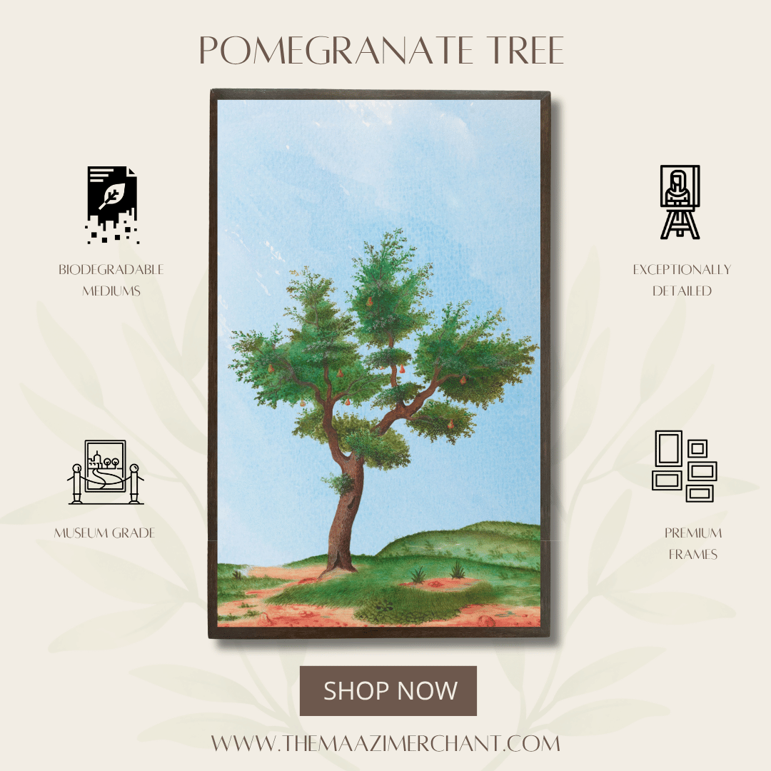 Pomegranate Tree