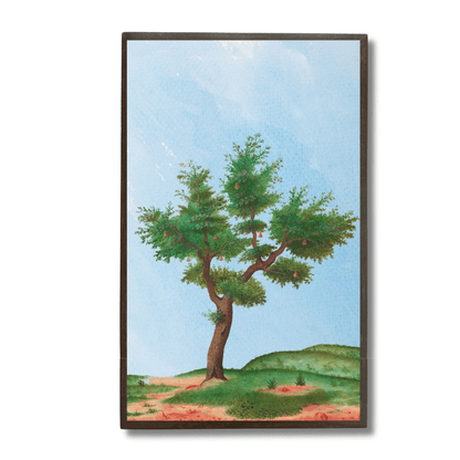 Pomegranate Tree