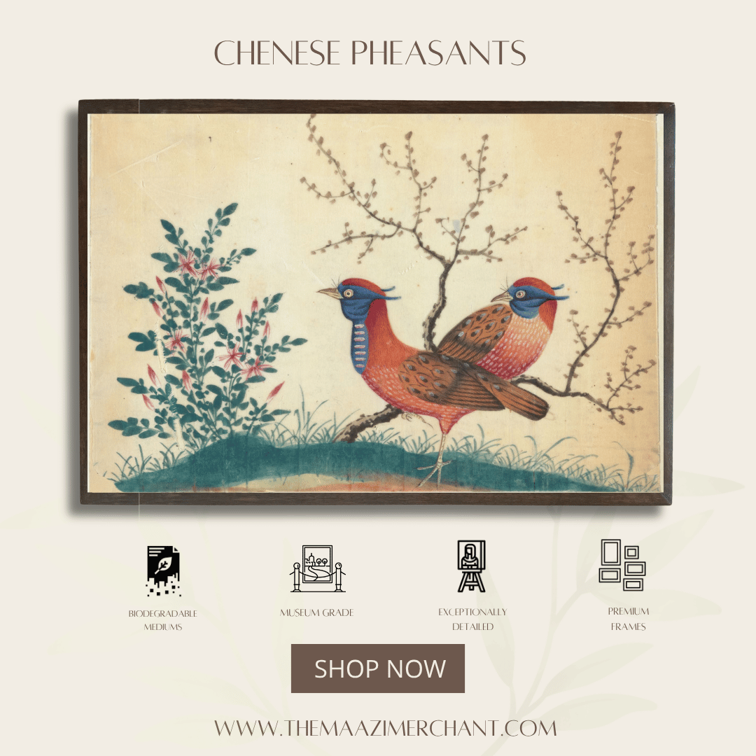 Chinese Pheasants