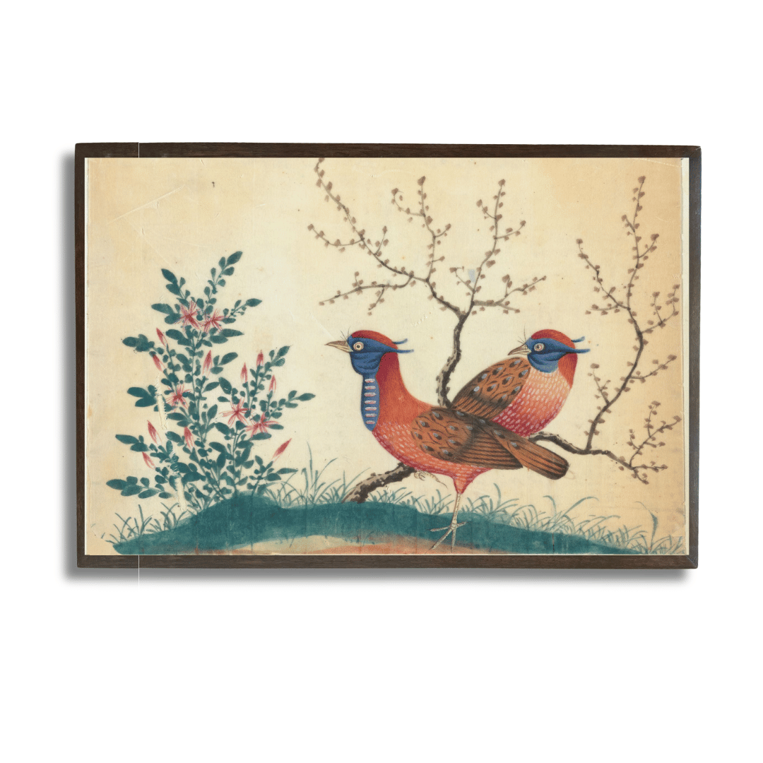 Chinese Pheasants