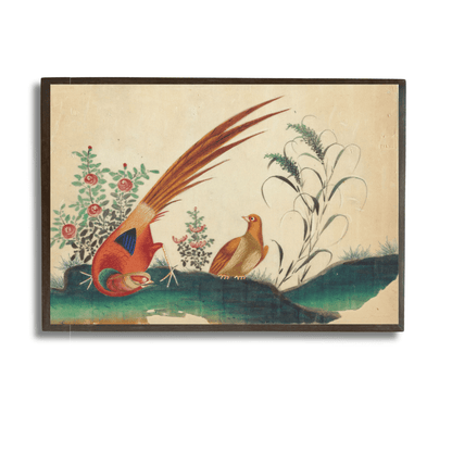 Longtailed Pheasants