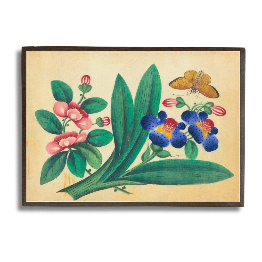 Floral Suite with Butterfly - I