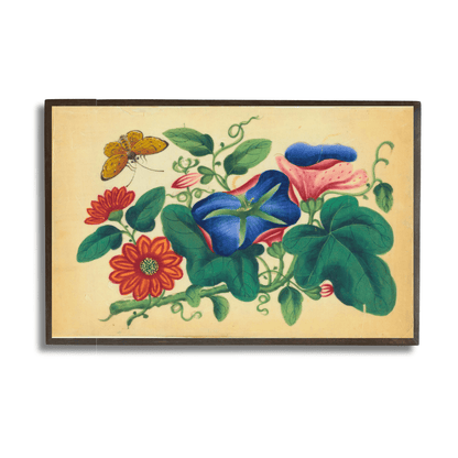 Floral Suite with Butterfly - II